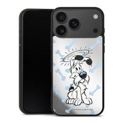 Dromen van Idefix Transparant