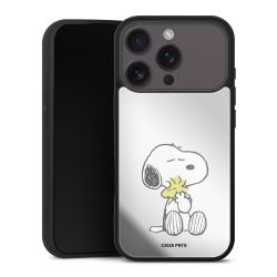 Snoopy And Woodstock Cuddling transparent