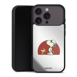 Snoopy Woodstock Far Out transparent
