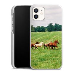 Green Case natur