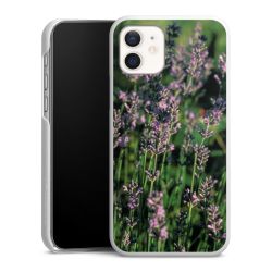 Green Case natur