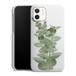 Green Case natur