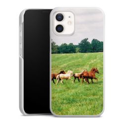 Green Case natur