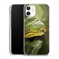 Green Case natur