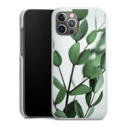 Green Case White