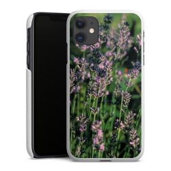 Green Case natur