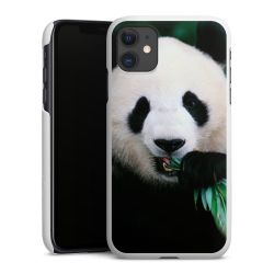 Green Case natur