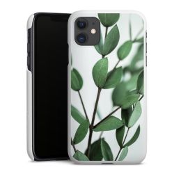 Green Case natur