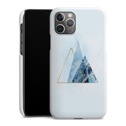 Green Case White