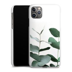 Green Case White