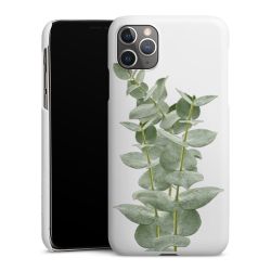 Green Case White