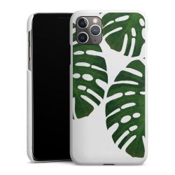 Green Case White