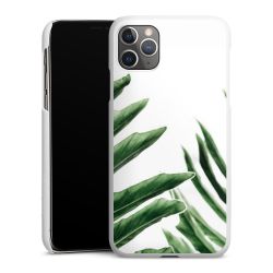 Green Case White