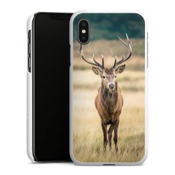 Green Case natur