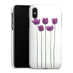 Green Case White