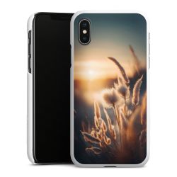 Green Case natur