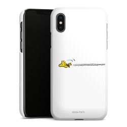 Green Case White