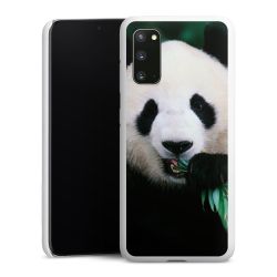 Green Case natur