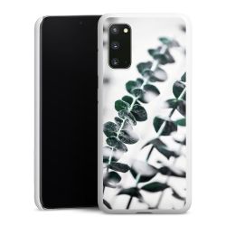 Green Case White