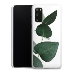 Green Case White