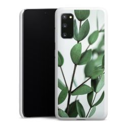 Green Case White