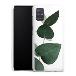 Green Case natur