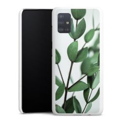 Green Case natur