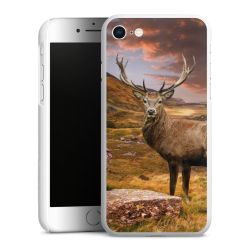 Green Case natur