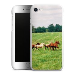 Green Case natur