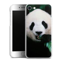 Green Case natur