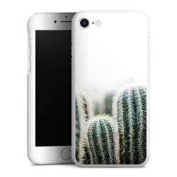 Green Case natur