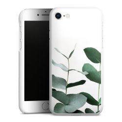 Green Case natur