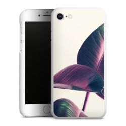 Green Case White