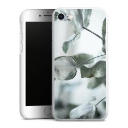 Green Case White