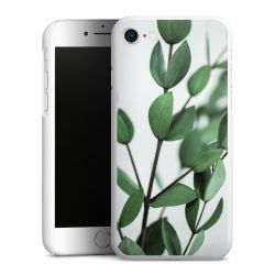 Green Case White