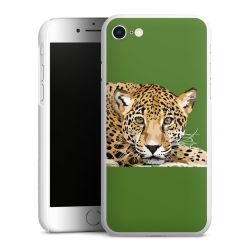 Green Case natur