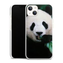 Green Case White