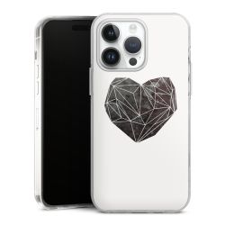 Hard Case transparent - 2in1