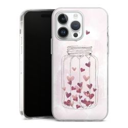 Hard Case transparent - 2in1