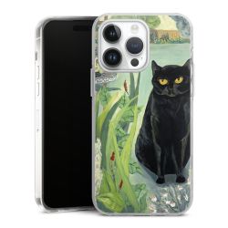 Hard Case transparent - 2in1