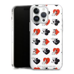 Hard Case transparent - 2in1