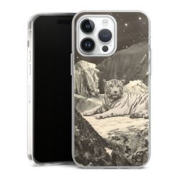 Hard Case transparent - 2in1