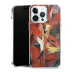 Hard Case transparent - 2in1