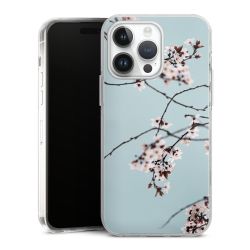 Hard Case transparent - 2in1