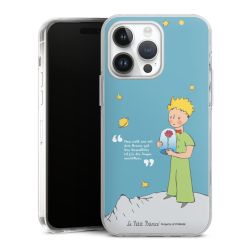 Hard Case transparent - 2in1