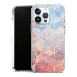 Hard Case transparent - 2in1