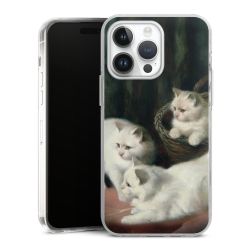 Hard Case transparent - 2in1