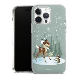 Hard Case transparent - 2in1