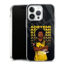 Hard Case transparent - 2in1