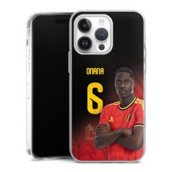 Hard Case transparent - 2in1